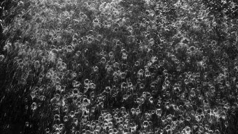 Droplets of rain falling on the surface creating bubbles on background Stock Footage 126147975