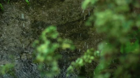 Droplets of Rain on the Ground Stock Footage 159931917