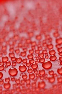 Droplets on red background Photos