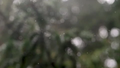 Droplets in slow-motion against soft-focused trees. Depth of field brings t.. Video stock 255277821