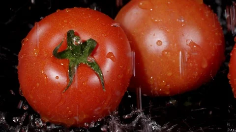 Droplets of water falling down on branch of cherry tomatoes in slow motion 動画素材 89340793