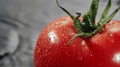 Droplets of water falling down on ripe red tomatoes in slow motion. Stock Footage 147381781