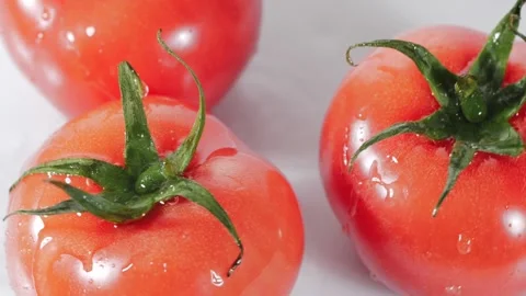 Droplets of water falling down on ripe red tomatoes in slow motion. Stock Footage 147381797