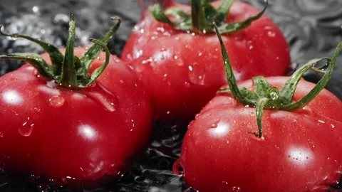 Droplets of water falling down on ripe red tomatoes in slow motion. Stock Footage 147381809