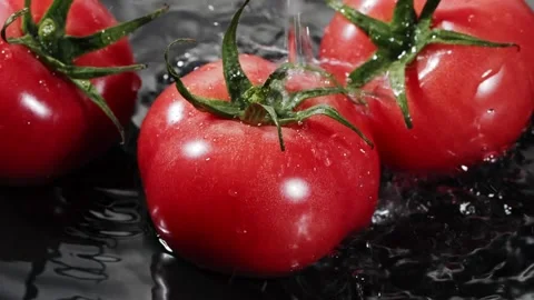 Droplets of water falling down on ripe red tomatoes in slow motion. Stock Footage 147381812