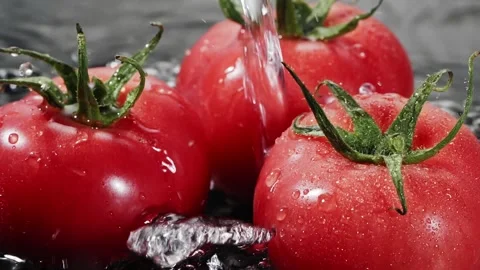 Droplets of water falling down on ripe red tomatoes in slow motion. Stock Footage 147381815