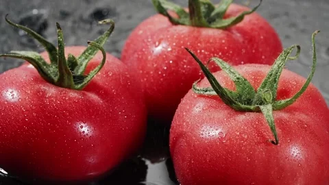 Droplets of water falling down on ripe red tomatoes in slow motion. Stock Footage 147381819