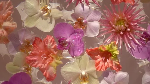 Droplets of water falling down on romantic colourful flowers, floating on water Видео 112251576