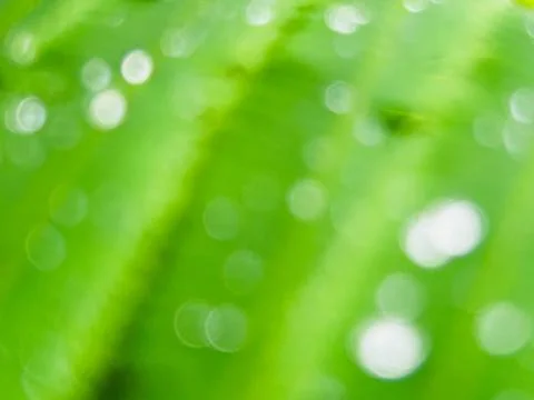 The droplets of water Stock Photos