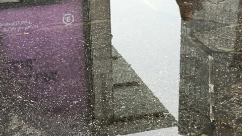 Droplets of water splash in puddle on Manhattan sidewalk reflecting NYC building Stock Footage 201261795
