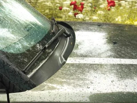 Droplets On Windshield 写真素材