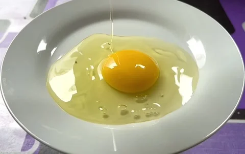 Dropped chicken egg on a plate Stock Footage 231362150