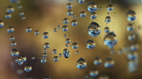 Dropped spider web 库存影片 4884385