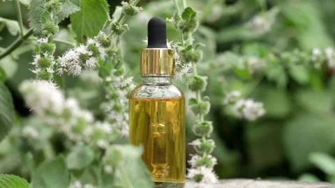 Dropper bottle with mint oil Stock Footage 202124811