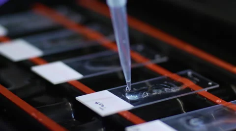 Dropper Putting Liquid on Slides Vidéo 41071422