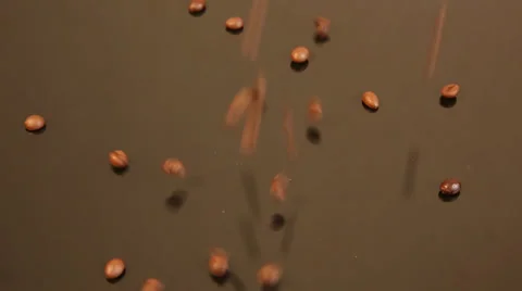 Dropping coffee beans Stock Footage 50362661