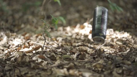 Dropping a drink can in the forest Stock Footage 111649221