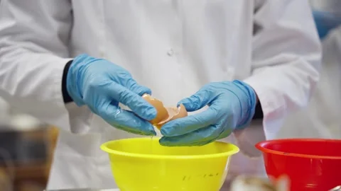 Dropping eggs int a kitchen cup Stock Footage 315505748