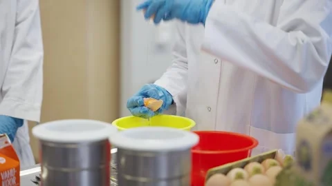 Dropping eggs int a yellow kitchen cup Stock Footage 315505747