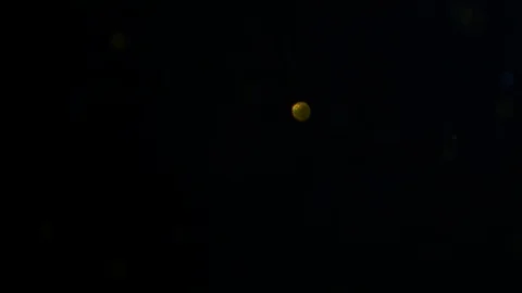 Dropping gold powder into the water Stock Footage 102415559