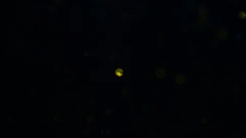 Dropping gold powder into the water Stock Footage 102419533