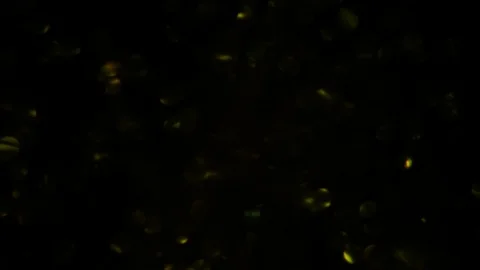 Dropping gold powder into the water Stock Footage 102437945