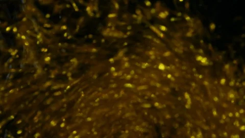Dropping gold powder into the water Stock Footage 102438895