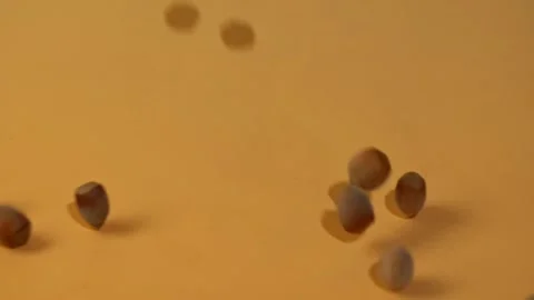 Dropping hazelnuts full hd footage Stock-Footage 173840108
