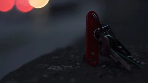 Dropping the keys Vídeos de archivo 89578093