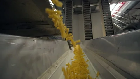 Dropping raw macaroni on a conveyor belt at the pasta factory Video stock 163255393