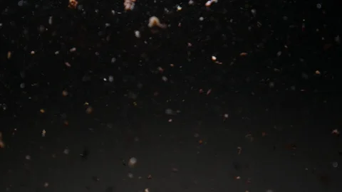 Dropping red ingredient into the water background Stock Footage 102645733