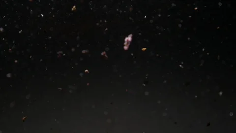 Dropping red ingredient into the water background Stock Footage 102647928