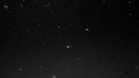 Dropping red ingredient into the water background Stock Footage 102648277