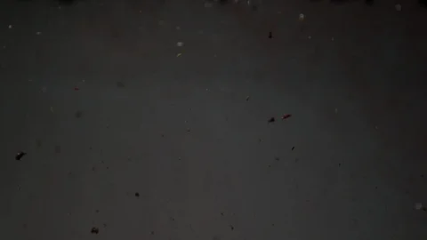 Dropping red ingredient into the water background Stock Footage 102652633