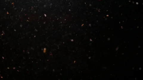 Dropping red ingredient into the water background Stock Footage 102762771