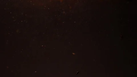 Dropping red ingredient into the water background Stock Footage 102785935