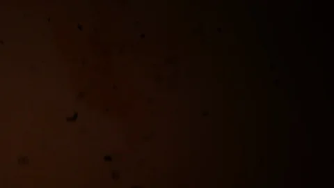 Dropping red ingredient into the water background Stock Footage 102849385