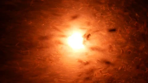 Dropping red ingredient into the water background Stock Footage 104056544