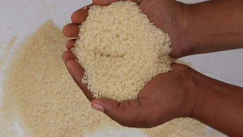 Dropping rice over table from hands 動画素材 147694322