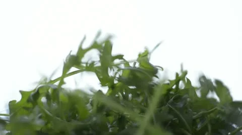 Dropping Rocket Stock Footage 12659269