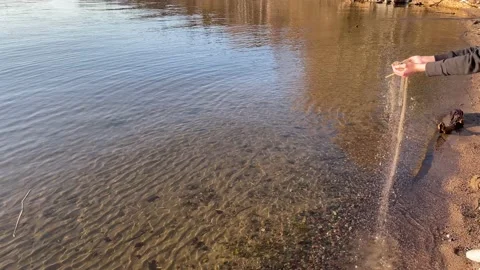 Dropping sand into a lake Stock Footage 240035915