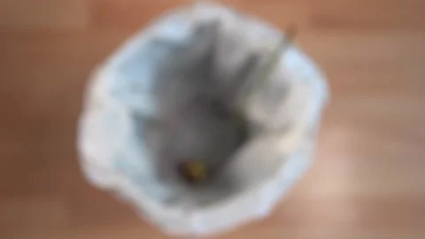 Dropping Single Red Rose In Bin Stock Footage 157174225