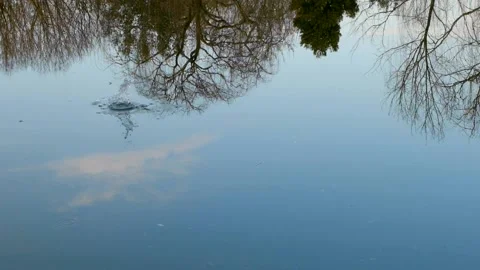 Dropping of a stone in to small pond and lake Stock Footage 153957305