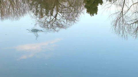 Dropping of a stone in to small pond and lake Stock Footage 153957338