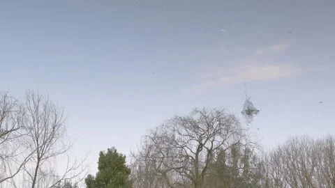 Dropping of a stone in to small pond Stock Footage 154178954