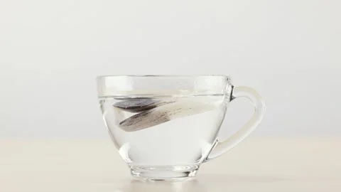 Dropping a Tea Bag into a Clear Glass Cup of Hot Water Stock Footage 345100506