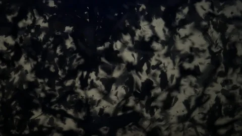 Dropping tea into the water Stock Footage 102579792