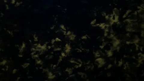 Dropping tea into the water Stock Footage 102581088