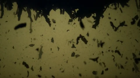 Dropping tea into the water Stock Footage 102582169