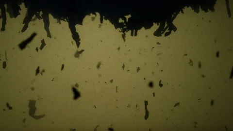 Dropping tea into the water Stock Footage 102583977